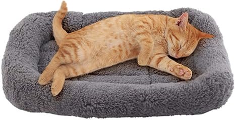 Enjoying Cat Bed Square 38 x 26 cm, Warm Cat Sleeping Place for Small Dogs Cats Rabbits, Soft Cat Mat with Pillow, Cat Cushion for Cage Transport Box, Non-Slip, Washable