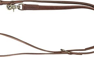 TRIXIE Rustic Leather Dog Lead L - XL, 2.00 m 25 mm in Dark Brown - Adjustable Greased Leather Lead for Dogs in Classic Design - for Large to Very Large Dogs - 19003