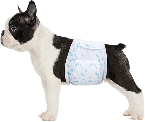 Flying Paws Male Nappies, Pack of 24 S Disposable Dog Nappies for Males, Super Absorbent Dog Nappies for Small Males, Fit 30-48 cm