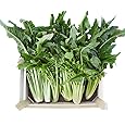 grünhopper Fresh Box Dandelion 3 kg
