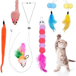 Dokeno Pack of 6 Interactive Cat Toy Cat Toy Self-Activity Cat Toy with Feathers Hanging Door Frame Hanging Cat Toy Set for Cat Run and Against Boredom