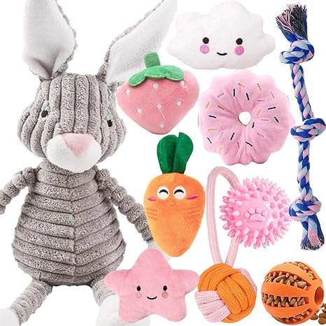 10 Pieces Dog Toy for Small Dogs, Squeaky Plush Dog Toy Set, Puppy Teething Toy, Rope Ball, Indestructible Dog Chew Toy, Dog Toy Gift for Small Medium Dogs