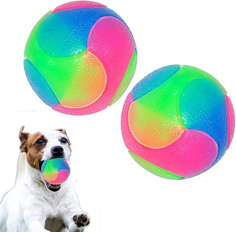FineInno 2 x Large Luminous Dog Ball for Dogs