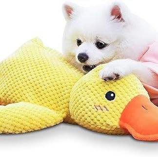 Frundoo Antistress Duck Dog, 2026 Dog Toy Duck, Squeaky Plush Toy, Interactive Toy for Dogs, Plush Sound Toy for Dogs, M