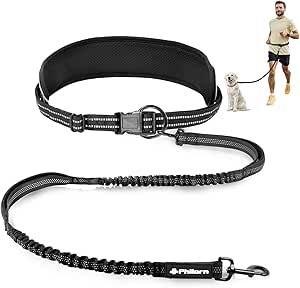Philorn Jogging Lead Dogs, Hands-Free Running Lead, Waist Strap, Dog Lead for Jogging, Running, Hiking, with Widened Belt, Reflective Stitching (Black)