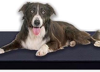 MyBestBuddy Premium Orthopaedic Dog Cushion with 3 cm Full Foam Core, Grey, 80 x 60 cm L, Dog Mat with Fabric Cover, Washable at 40°C, Allergy Friendly, Dog Bed for Medium Dogs, 80 x 60 cm