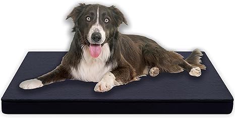MyBestBuddy Premium Orthopaedic Dog Cushion with 3 cm Full Foam Core, Grey, 80 x 60 cm L, Dog Mat with Fabric Cover, Washable at 40°C, Allergy Friendly, Dog Bed for Medium Dogs, 80 x 60 cm