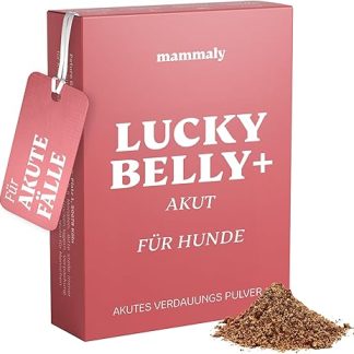 mammaly Lucky Belly Acute Diarrhea Powder for Dogs, Probiotics Dog, Quick Aid for Strong Diarrhea Dog, Suitable for Allergy Sufferers and Grain-Free, Dog Build Intestinal Flora, Healing Moor (Pack of