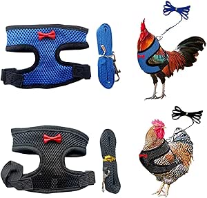 Pack of 2 Chicken Harness with Lead, Adjustable Chicken Harness with Lead, Breathable Chicken West, Training Harness, Pet Harness for Chicken, Hen, Duck or Goose Running Training