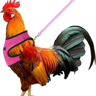Molain Chicken Harness with Leash, Adjustable, Breathable, for 3-6 kg Hen and Dogs, Size M (Pink)