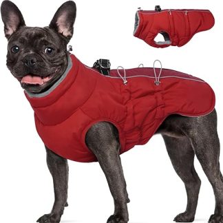 Katzinst Dog Winter Coat, Sleeveless Water Resistant Dog Jacket, Reflective Dog Jacket with Abdominal Protection, Dog Clothing, Outfit, Dog Coat for Medium-Sized Dogs, French Bulldog, L