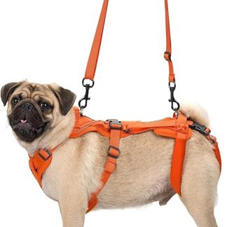 OneTigris Hopper Dog Harness, Small Support Harness, Adjustable Lifting Harness with 2 Handles for Support and Rehabilitation, Suitable for Small Dogs, Orange, S