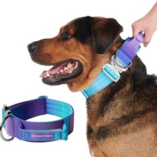 Spark Paws Tactical Dog Collar - Robust, Premium Quality, Thick and Durable for Large and Medium Dogs - 90s Retro M: 23-39 kg [3.8 cm]