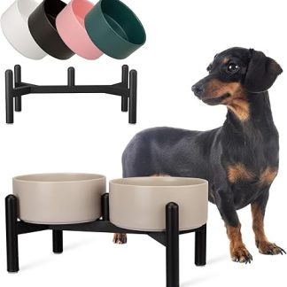 Raised Dog Feeding Bowl Set, Double Ceramic Feeding Bowl with Stainless Steel Stand, Ideal for Small and Medium Dogs, 850 ml x 2, Grey