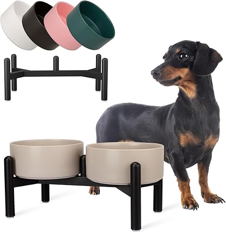Raised Dog Feeding Bowl Set, Double Ceramic Feeding Bowl with Stainless Steel Stand, Ideal for Small and Medium Dogs, 850 ml x 2, Grey