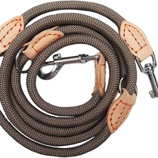 Dog Lead for Medium and Large Dogs, Multifunctional Lead for Dogs, 2.1 m Adjustable with 2 Carabiners, Robust Nylon Dog Leash, Recall Lead Double Lead for 2 Dogs (Beige, 1 cm x 2.1 m)