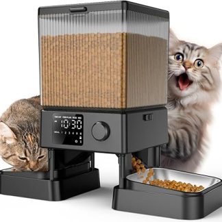 oneisall 5L Automatic Cat Feeder 2 Bowls, Cat Food Automatic with One Button, Easy to Use, Feeder for Cats/Dogs, with Stainless Steel Bowl, Voice Recorder, for Small/Medium Pets