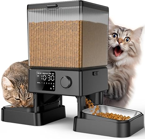 oneisall 5L Automatic Cat Feeder 2 Bowls, Cat Food Automatic with One Button, Easy to Use, Feeder for Cats/Dogs, with Stainless Steel Bowl, Voice Recorder, for Small/Medium Pets