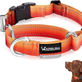 Arblina Martingale Dog Collar, Reflective Pull Stop Collar Dogs for Large, Medium and Small Dogs, Nylon Pull Collar with Stop for Dogs Whippets, Greyhounds, Saluki, Orange, M