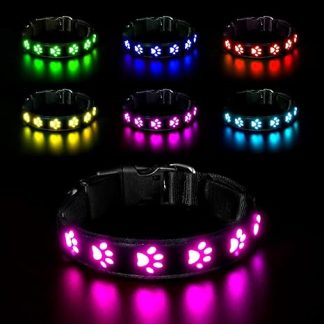 AUAUY Luminous Dog Collar, LED Luminous Dog Collar, USB Rechargeable, Waterproof, for Small, Medium, Large Pets, Adjustable Safety Collar with 6 Colours (Colourful-S)
