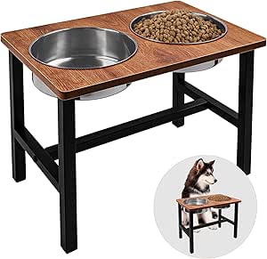 Raised Dog Bowl, Raised Dog Feeding Bowl, Iron Dog Bowl Holder with 2 Dog Bowls Made of Stainless Steel, Feeding Station Dog for Medium Large Dogs
