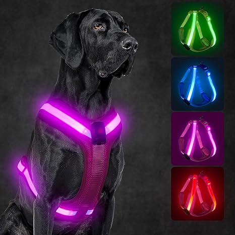 KOSKILL LED Dog Harness, Rechargeable Illuminated Dog Harness, Glow in the Dark, LED Dog Vest, Reflective Dog Lights for Night Walks (Pink, M)