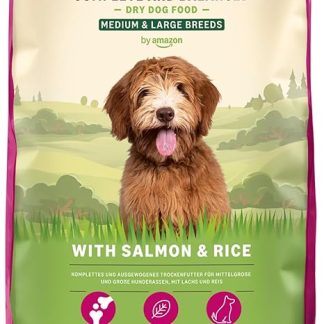 Amazon brand: Lifelong Complete Dry Food for Adult Dogs with Salmon and Rice, 1 x 5 kg