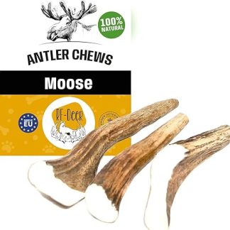 RF-Deer Elk Antlers, Antlers Size XXL - 1 Piece - Natural Antler Chew Snack for Dogs, Healthy Chew Toy, Chew Bone for Dental Care Dog, Dog Toy, Hard, 220-280 g, 18-21 cm