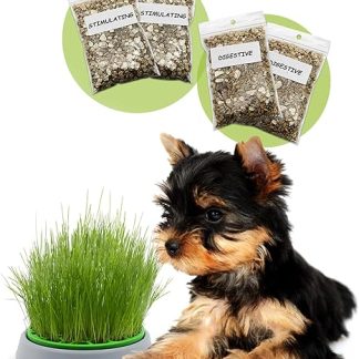 R&R SHOP Double Seed Dog Grass Kit - Germination Pot, 2 Types of Dog Grass, Stimulating and Digestive, 4 Bags of Seeds and Substrate, Suitable for All Dogs