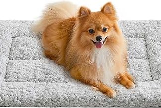 Feandrea PPB001G01 Dog Blanket, Pet Blanket for Dogs, Cats, 60 x 45 cm, S, Machine Washable, Tumble Dryer, Non-Slip, Light Grey