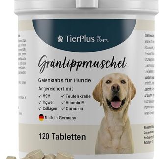 TierPlus Joint Tablets for Dogs Enriched with Green-Lipped Mussel, MSM, Ginger, Chondroitin, Glucosamine and Devil's Claw, High Eating Acceptance, Pack of 120, Made in Germany