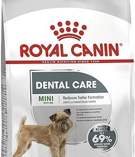 ROYAL CANIN Mini Dental Care - 3 kg
