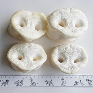 Pig Nose Pack of 25. Puffed Honey Noses Like Pig Ears, Chew Snack