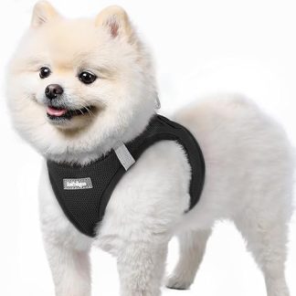 rabbitgoo Dog Harness for Small Dogs, Step-in Puppy Harness, Soft Mesh for Walks, Breathable and Reflective Chest Harness for Small and Medium Dogs, Black, S