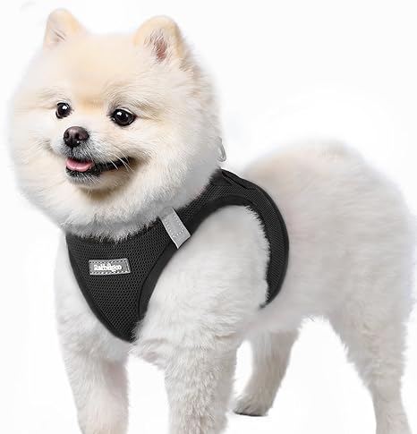 rabbitgoo Dog Harness for Small Dogs, Step-in Puppy Harness, Soft Mesh for Walks, Breathable and Reflective Chest Harness for Small and Medium Dogs, Black, S