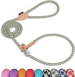 Grand Line Reflective Climbing Rope, Slip Lead for Pet, Lead for Small, Medium, Large and Extra Heavy Dogs and Cats