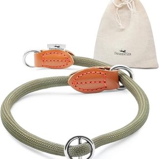 FREUDENTIER Pull Stop Dog Collar, Retriever Collar, Dog Collar Pull Stop for Small, Medium and Large Dogs (Forest Green, S/M)