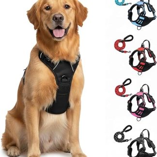 Fellstern Anti-Pull Harness, Anti-Pull Dog Harness with Step-in Design, Breathable & Padded, For Relaxed Walking, No Pull Control, For Dogs of All Sizes (Black, XL)