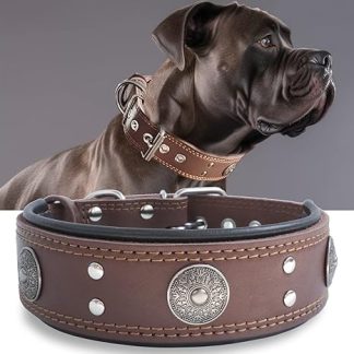 Leather Dog Collar, 5 cm Wide, Robust Genuine Leather Collar, Handmade, Soft and Luxurious, Eye-catching, Best Choice for Large and Medium Dog Breeds, 49.5-60 cm