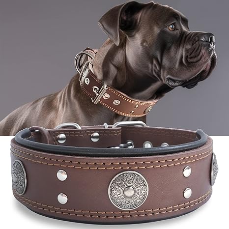 Leather Dog Collar, 5 cm Wide, Robust Genuine Leather Collar, Handmade, Soft and Luxurious, Eye-catching, Best Choice for Large and Medium Dog Breeds, 49.5-60 cm
