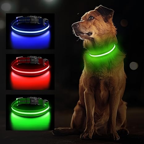 Jewyow Light Collar Dog, Rechargeable LED Dog Collar for Small, Medium & Large Dogs, Adjustable Dog Collar Luminous with Waterproof, 3 Modes, Green-M
