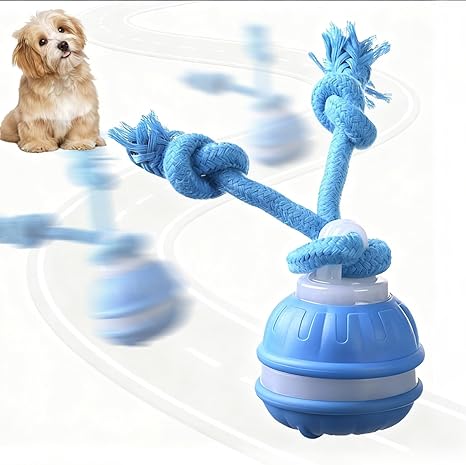 Supore Interactive Dog Toy Ball, Electric Dog Ball with Cord, Interactive Intelligence Dog Toy, 3 Game Modes, Automatic Moving Toy Ball, Dog Toys for Puppies, Small, Medium, Blue