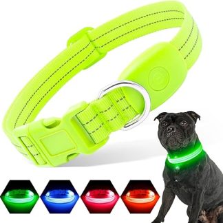 PZRLit Illuminated Dog Collar, Rechargeable, Luminous Dog Collar for Small, Medium and Large Dogs, Adjustable LED Collar for Night Safety, Green, Medium