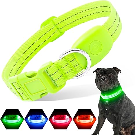 PZRLit Illuminated Dog Collar, Rechargeable, Luminous Dog Collar for Small, Medium and Large Dogs, Adjustable LED Collar for Night Safety, Green, Medium