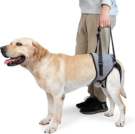 Dotoner Dog Lifting Harness, Dog Support Harness for Rear Legs, Soft Dog Support Loop for Injured Disabled Small, Medium and Large Dogs, Dog Loop for Rear Legs (Grey, XL)