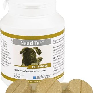 Alfavet Nausi Tabergänzu NGS Food for Dogs 110 g Pack of 1
