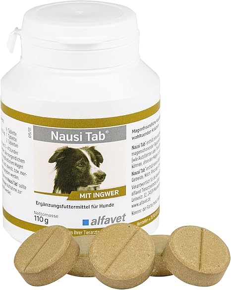 Alfavet Nausi Tabergänzu NGS Food for Dogs 110 g Pack of 1
