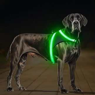 ChalkLit LED Luminous Dog Harness, USB Rechargeable Fully Illuminated Dog Harness, Glows in the Dark for Night Walks, Safety Vest, Medium and Large Dogs (Green, L)