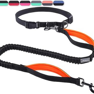 VIVAGLORY Jogging Lead, Bungeeone Dog Lead, Jogging, Running Lead with Loop & Padded Handle for House Lead, Jogging Lead, Bungee & Elastic Band for Dogs, S, Black/Orange