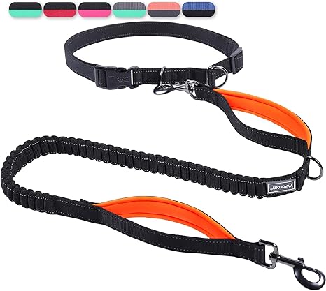 VIVAGLORY Jogging Lead, Bungeeone Dog Lead, Jogging, Running Lead with Loop & Padded Handle for House Lead, Jogging Lead, Bungee & Elastic Band for Dogs, S, Black/Orange